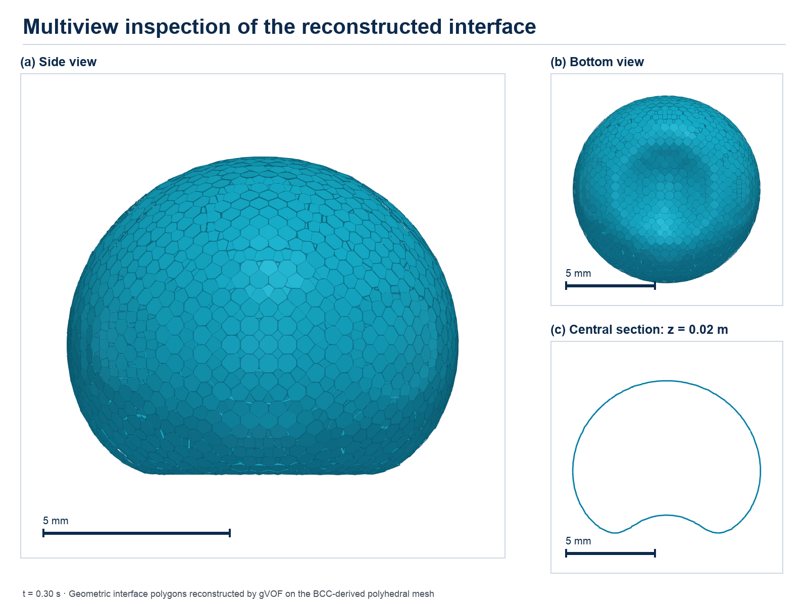 Side, bottom and central-section views of the reconstructed rising bubble and polyhedral mesh.